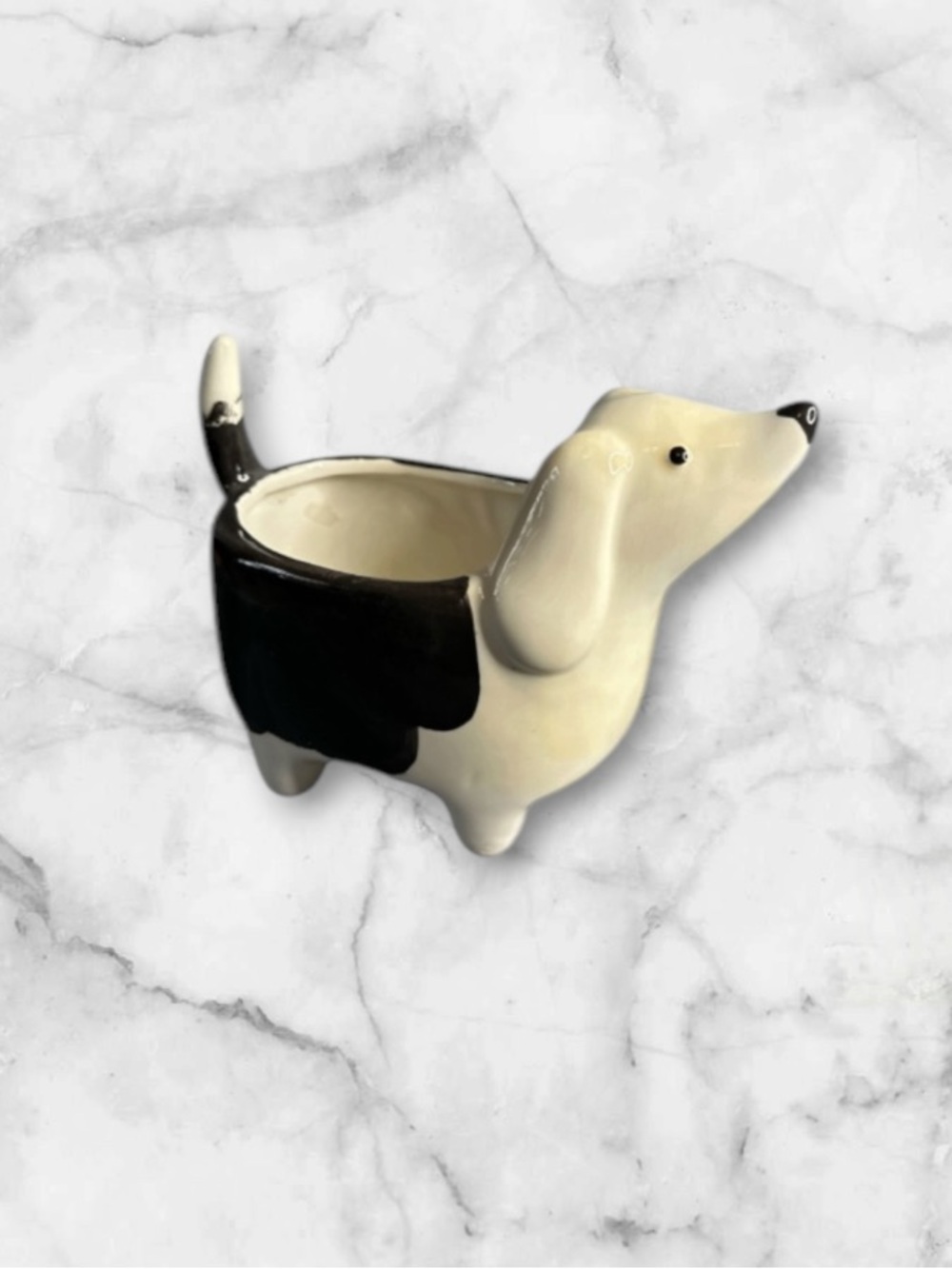 Ceramic black and white dog planter 6 inch X 5.5 inch